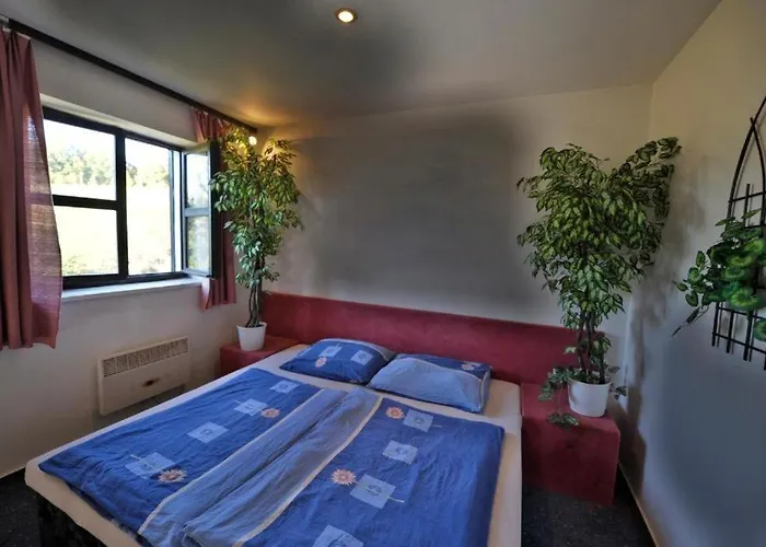 Party Hotel